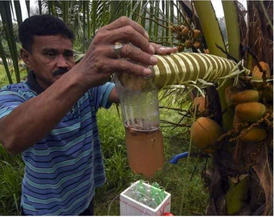 komponen pembuatan gula semut