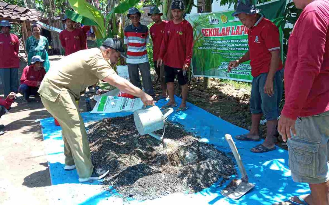 pengelolaan limbah kambing untuk pupuk