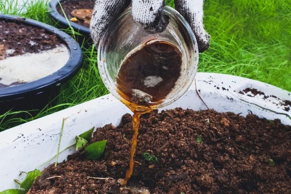 Fermentasi Bahan Organik Untuk Pupuk Ramah Lingkungan