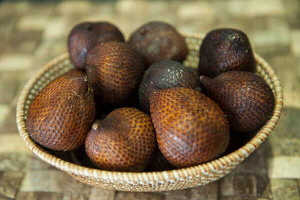 Manfaat Salak Kering, Ternyata Banyak loh! Manfaat Salak Kering