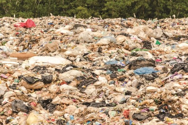 Efek Jangka Panjang Plastik Bagi Tanah! Efek Jangka Panjang Plastik Bagi Tanah
