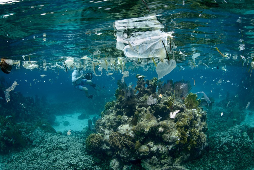 dampak pencemaran plastik pada terumbu karang
