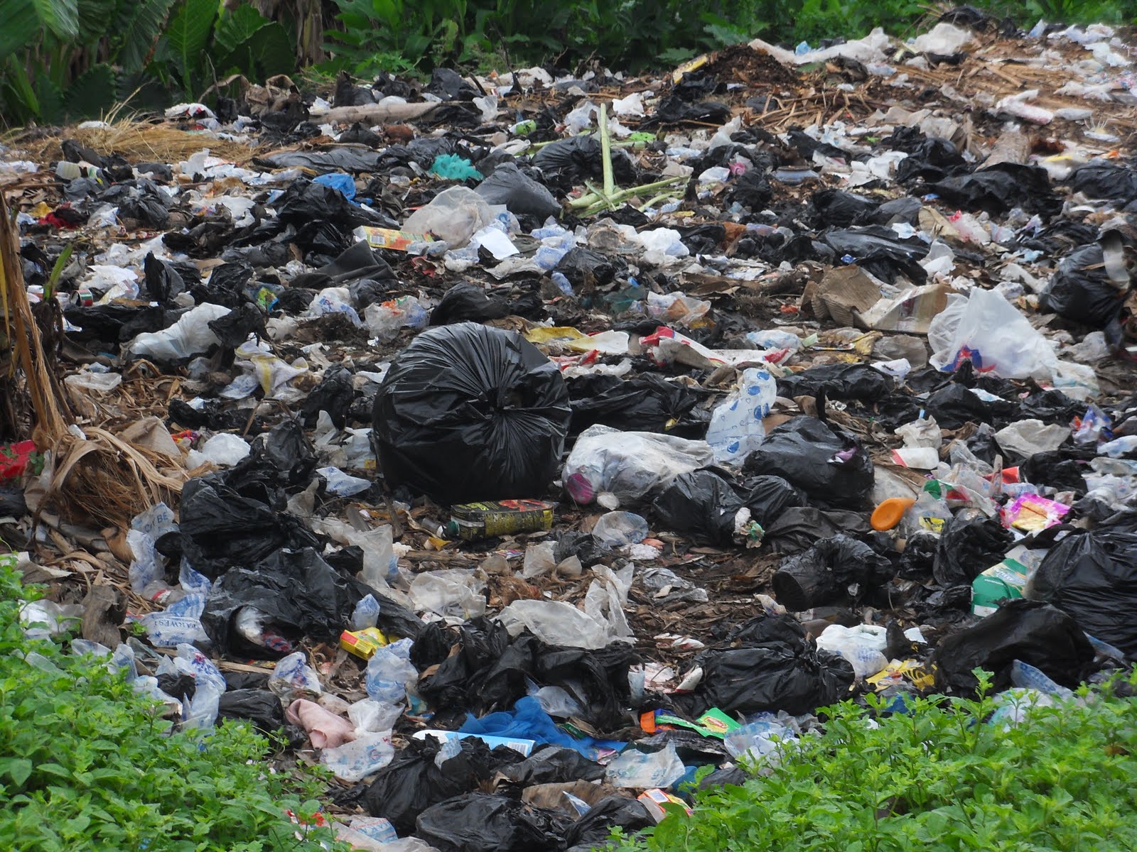 penyebab plastik sulit didaur ulang