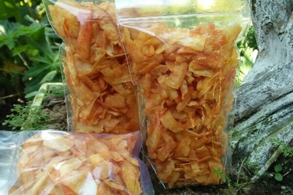Singkong untuk Snack Sehat, Inovasi Camilan Modern Lewat Vacuum Frying singkong untuk snack sehat